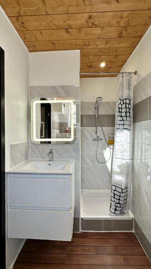 Lion'S Room - 2 Minute Walk From Palais Des Festivals And Beaches Cannes Kültér fotó